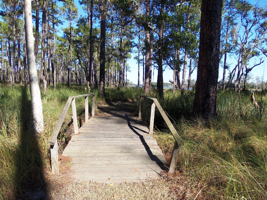 083-Ochlocknee River trail.jpg